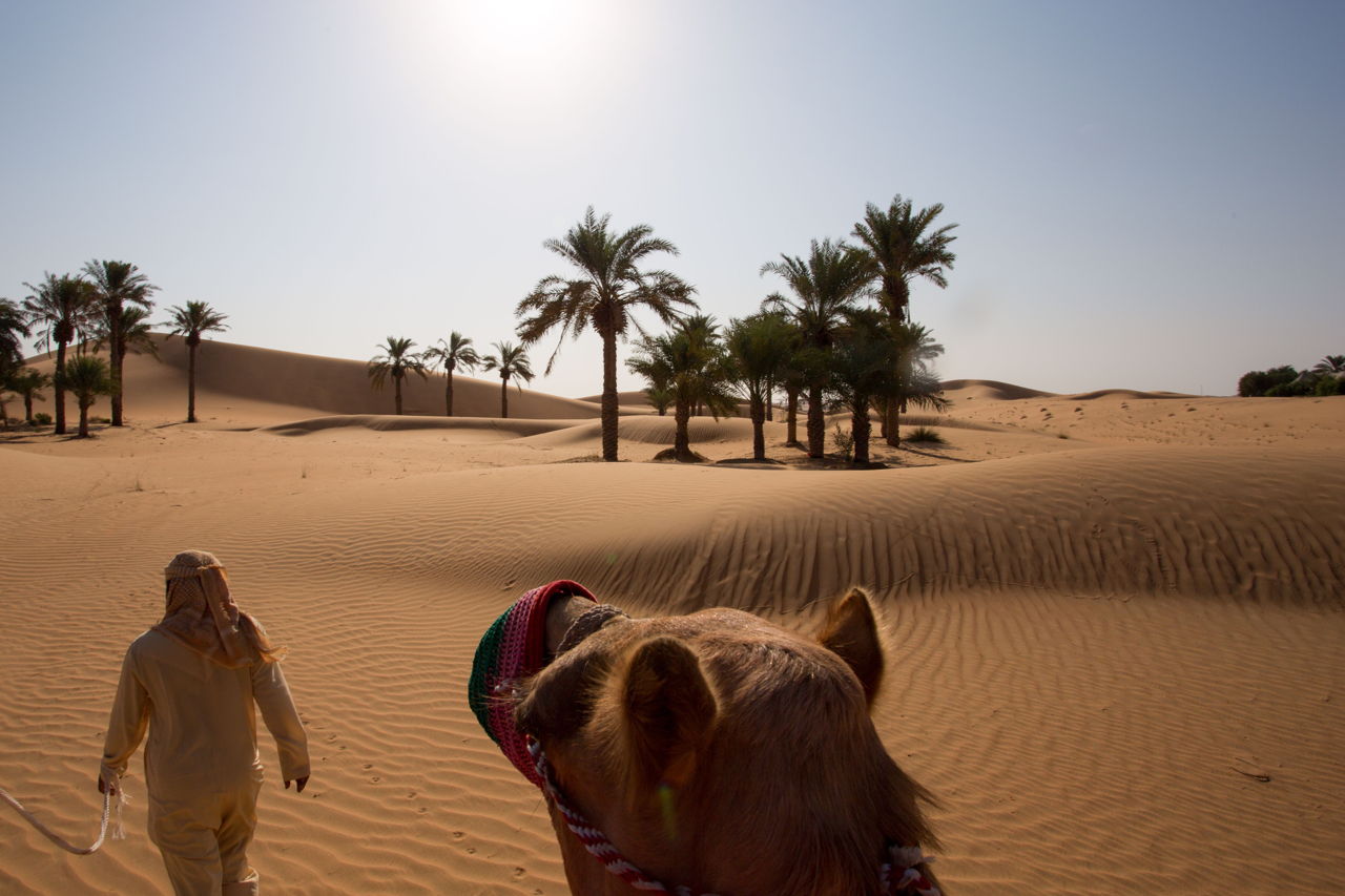 Пустынное сафари из Фуджейры 