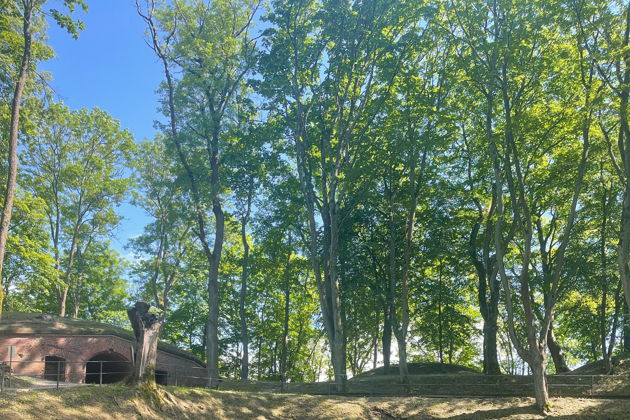 Виды Отголоски прошлого: форты и бастионы Кенигсберга