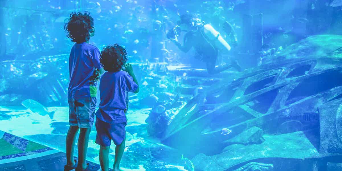 Дубайский аквариум и «Бурдж-Халифа»: пакетное предложение - фото 2