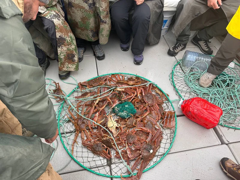 Морская прогулка в Бухту Русскую: высадка, рыбалка и крабовое сафари — фото 5, Камчатка | Покатаем