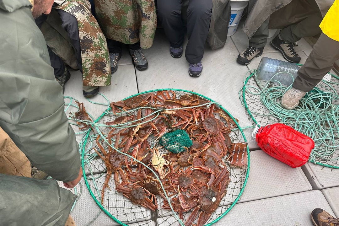 Морская прогулка в Бухту Русскую: высадка, рыбалка и крабовое сафари — фото 1