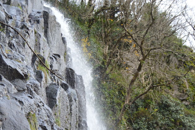 Виды Батумский бульвар и незабываемый отпуск в Аджарии