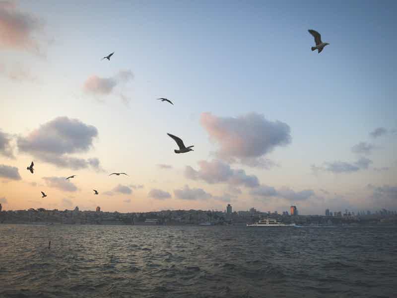 Istanbul: Amazing Verpertine River Walk through Bosphorus - photo 1