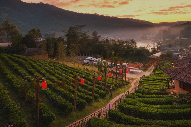 Фото к экскурсии «Магия гор и пещер: авторский тур Чиангмай – Пай – Бан Рак Тай»