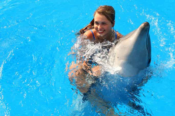 Плавание с Дельфинами в Кемере