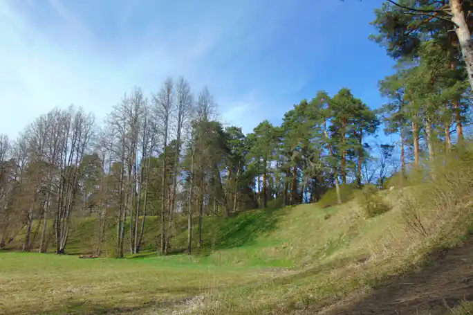 Звенигород: обширная обзорная экскурсия по городу с вековой историей  "Звени!Город"
