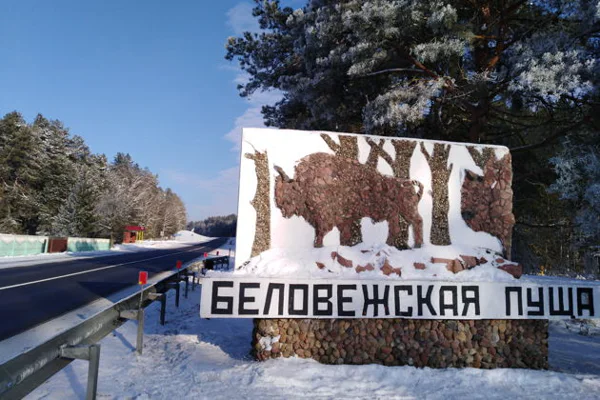 Лесные тайны и новогодние чудеса: экскурсия в Беловежскую пущу и резиденцию — фото 5, Минск | Покатаем