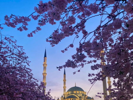 Старый город Ведучи