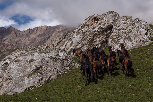 Виды Домбай-Поездка в Карачаево-Черкессию:от Гумбаши до Тебердин-го заповедника