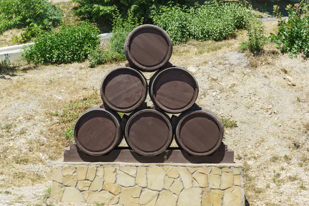 Из Анапы в Новороссийск с посещением улиточной фермы Шато Пино — фото 2