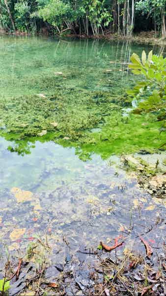 Голубая лагуна Краби: национальный парк Као Прабанг Крам  - фото 1