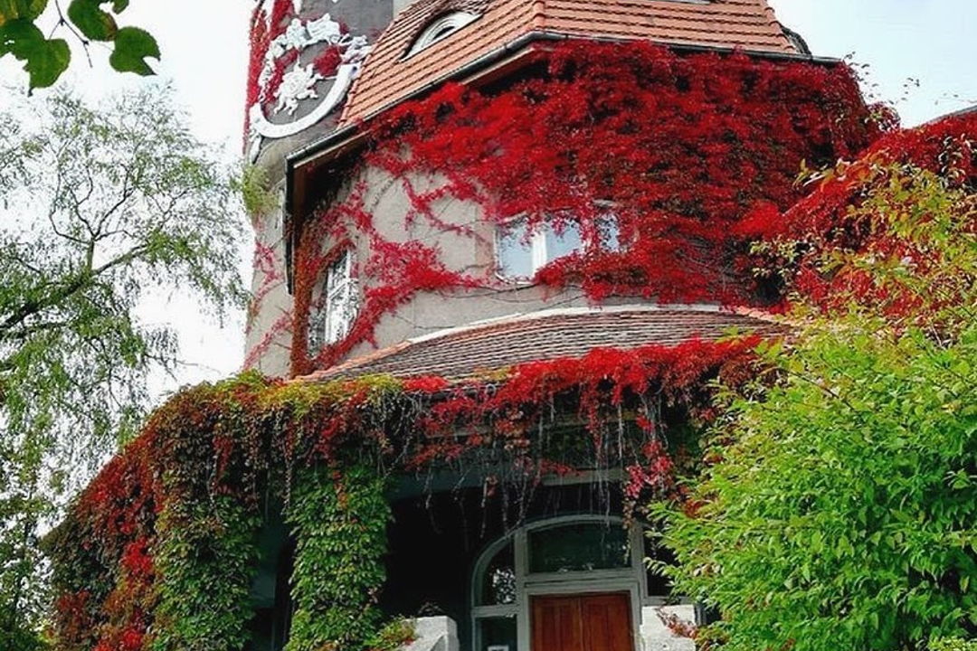 Светлогорск, Янтарный, Балтийск за один день! (Raushen, Palmniken, Pillau) — фото 1