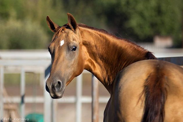Виды Эко-тур в заповедную зону
