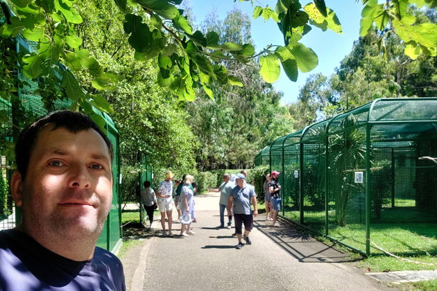 Виды Поездка на магнитные пески, и в красивейшие парки Шекветили