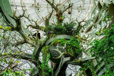 Лес под куполом: входной билет в оранжерею The Green Planet — Дубай