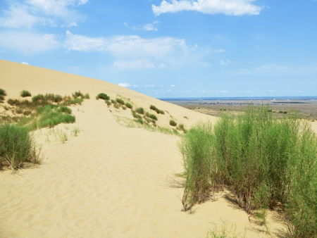 Бархан «Сарыкум»