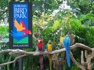 Парк птиц Джуронг