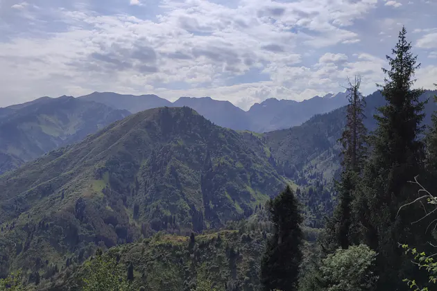 Кок Жайлау: лёгкий горный маршрут с панорамами Алматы — фото 3