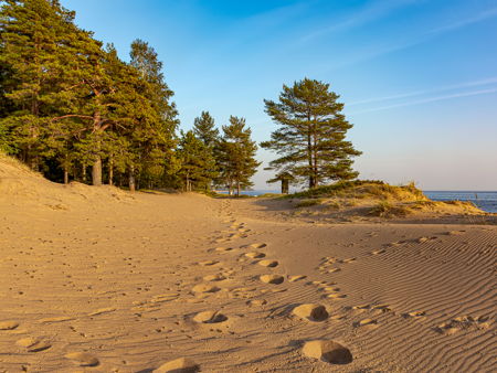 Финский залив