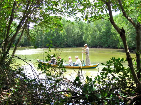 Экскурсия по мангровым лесам в национальном заповеднике Канзо (Вамсат)