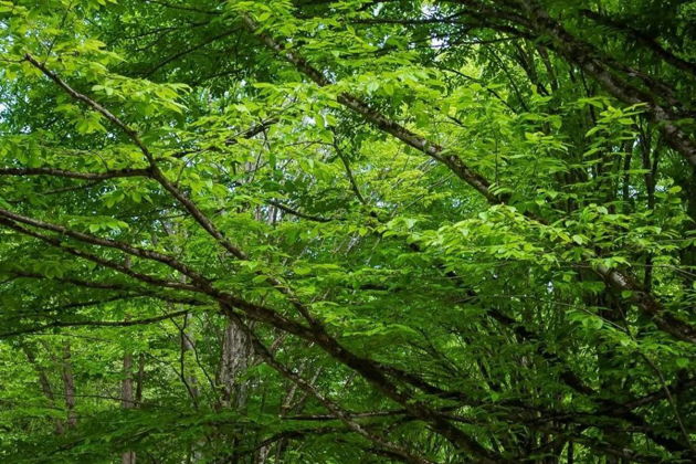 Виды Скрытые сокровища Южного Дагестана: водопады Келе и каньон Мерки