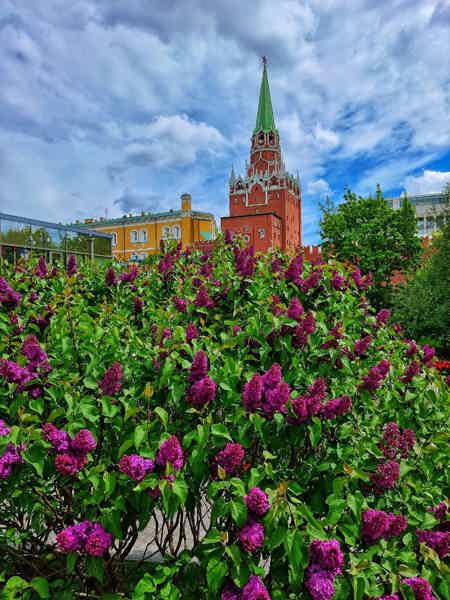 Нескучный сад Александровский - фото 4