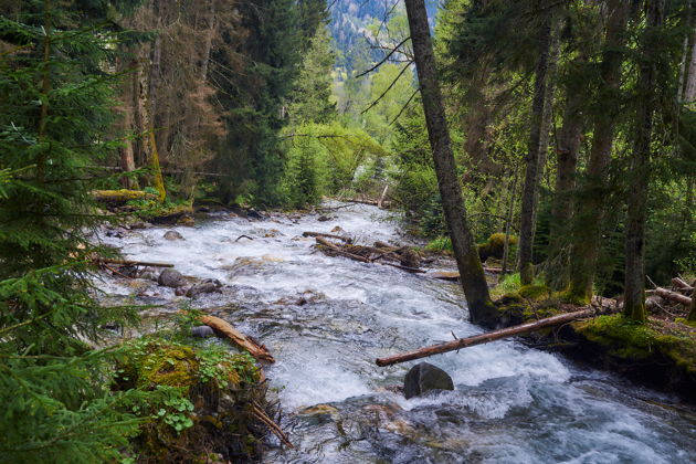Виды Фотопутешествие из Кисловодска в Кавказскую Швейцарию - Тебердинское ущелье