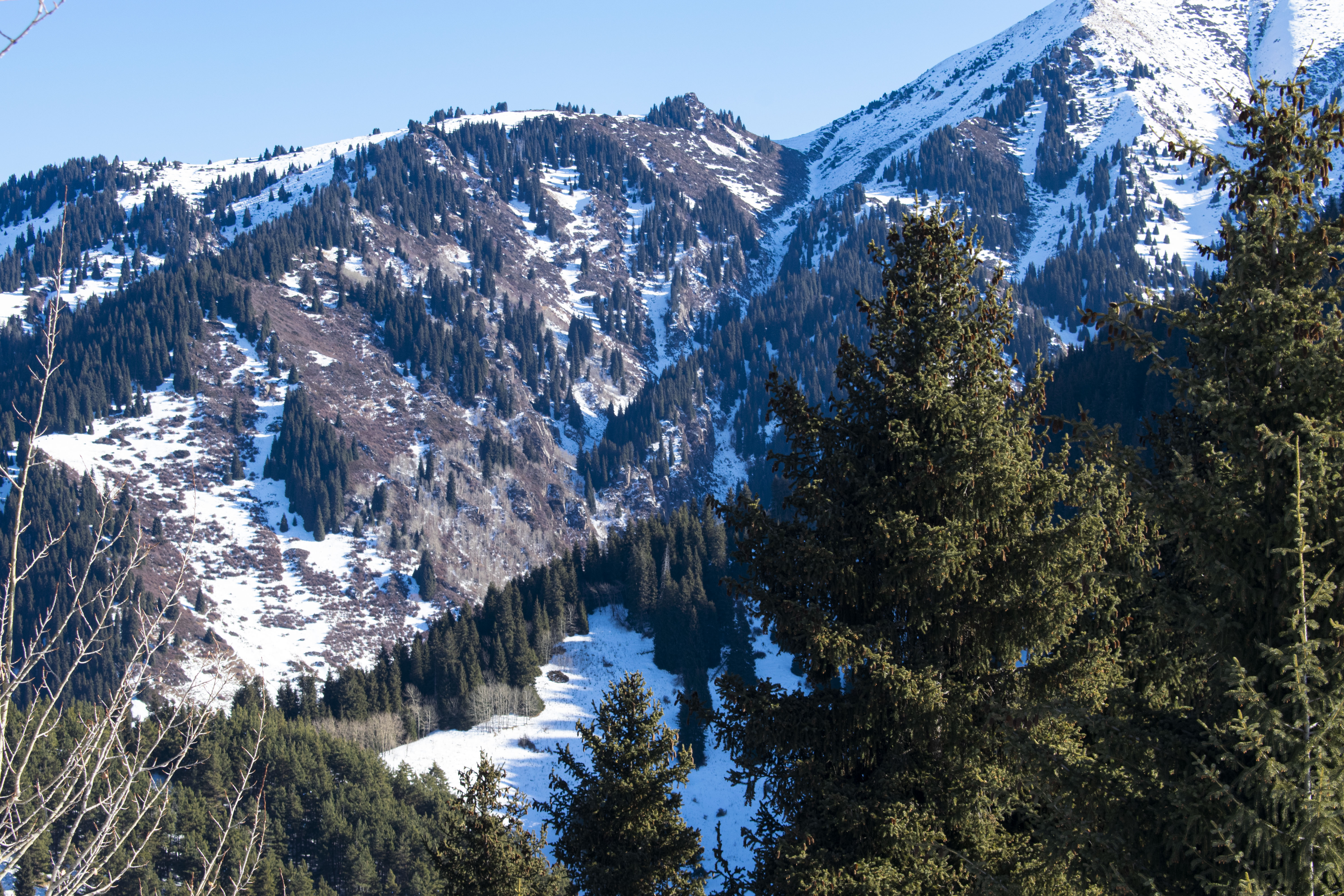 Алматы в окружении гор Тянь-Шаня: поездка в урочище Медео в мини-группе