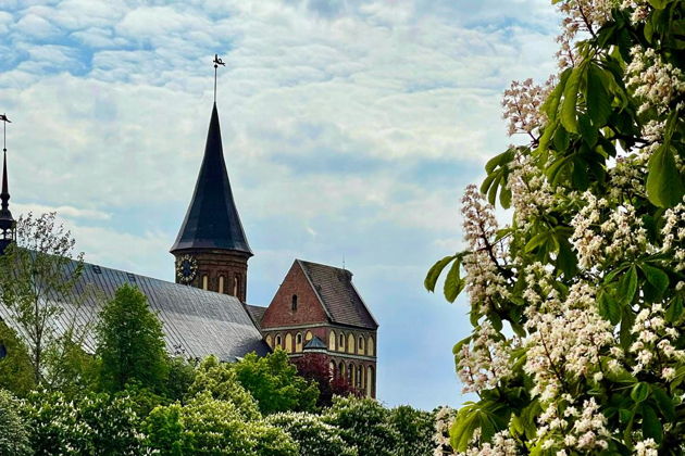 Виды Калининград: история, легенды и волшебные хомлины!
