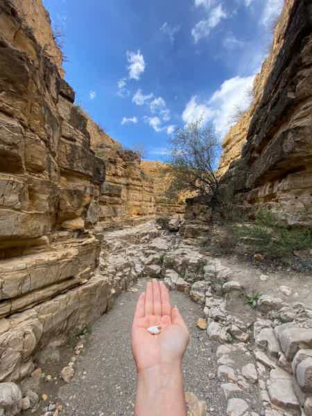Путешествие к истокам: Хор Вирап, Арени и магия Нораванка - фото 1