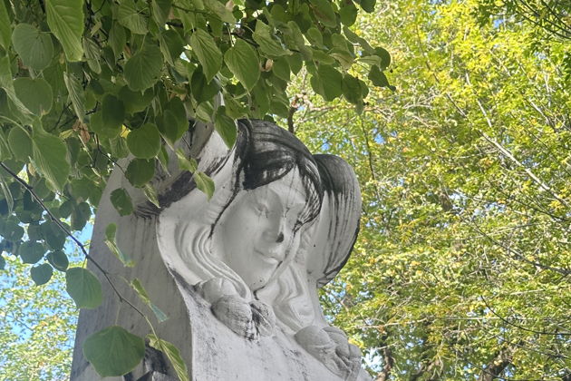 Виды «Пречистенские мотивы»: прогулка по Пречистенке в мини-группе