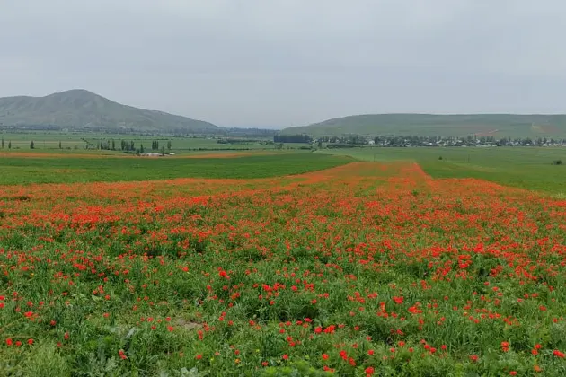 Гранд Каньон в миниатюре — фото 2