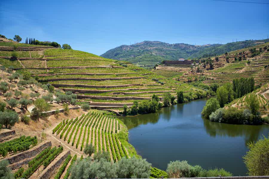 Douro Valley Wineries w/ Tasting + 1-Hour River Cruise w/ Lunch - photo 6