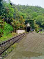 Экскурсия "Гранд-тур Абхазия: Гагра, Мандариновый сад, Рица и Новый Афон" - фото отзыва 5