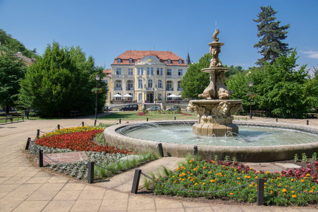 Виды Купание в термальном бассейне и Чешская Швейцария 