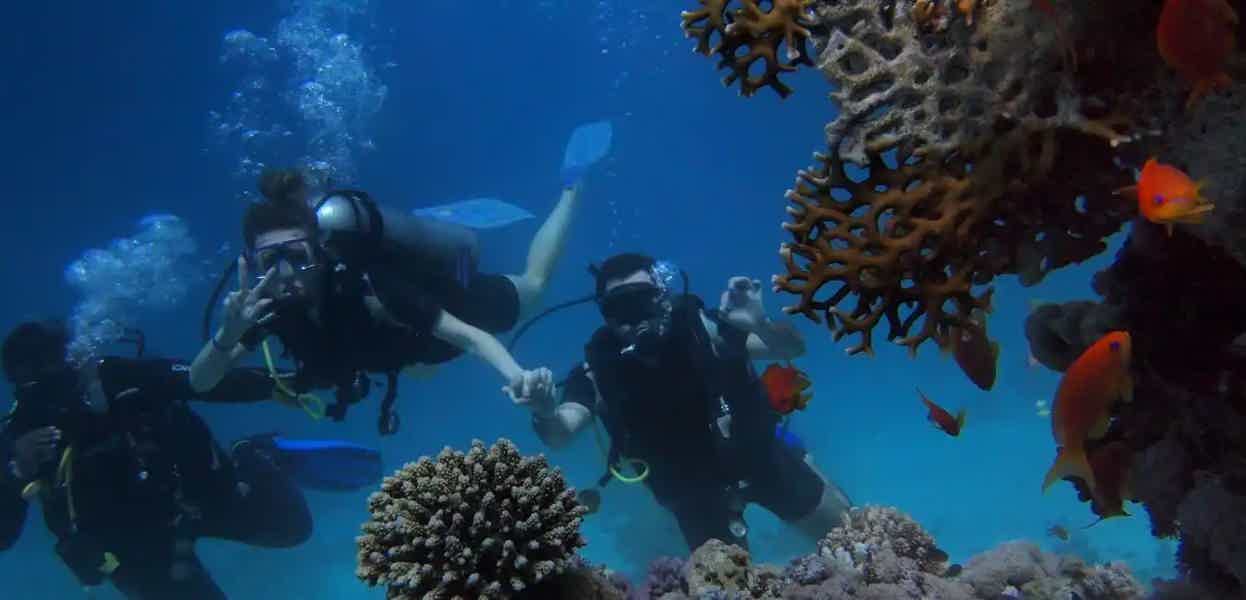 Diving in Alanya - photo 1