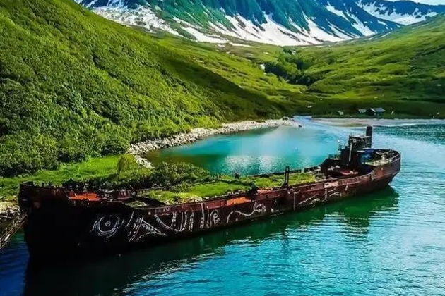 Морская прогулка в бухту Русская с высадкой на берег: сивучи, киты, рыбалка