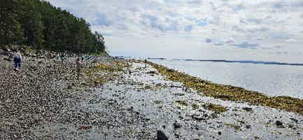 Экскурсия "Из Мурманска в Кандалакшу — на Белое море!" - фото отзыва 5