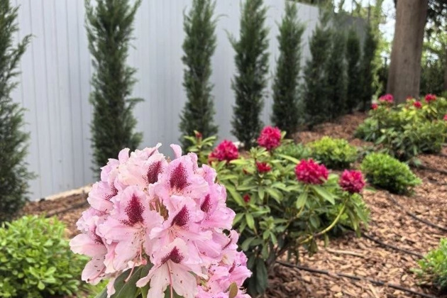 Евпатория и Розовое озеро