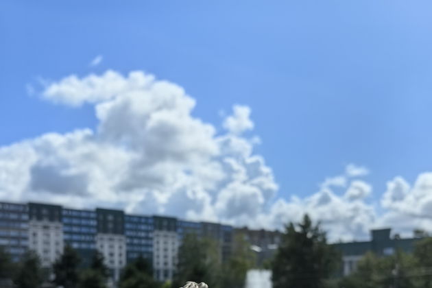 Виды Рыбный Кенигсберг и 12 оттенков пенного