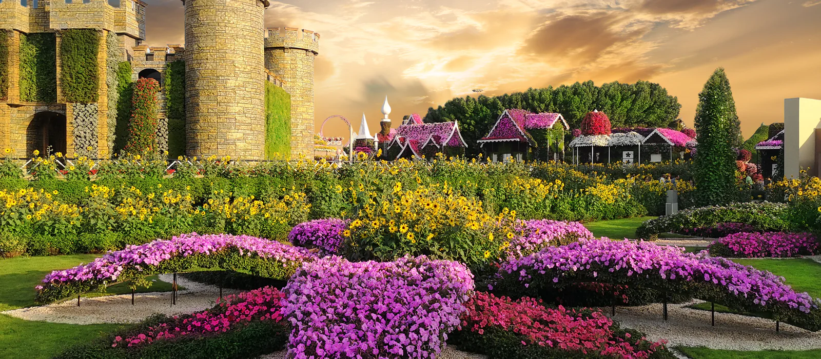Парк цветов Miracle Garden и ярмарка Global Village из Абу-Даби — экскурсия, Абу-Даби, ОАЭ | Покатаем
