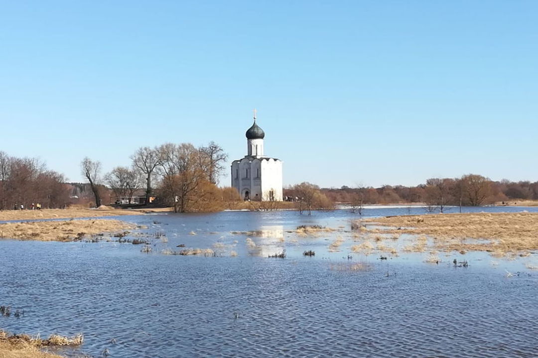 Боголюбово: княжеский дворец XII века и храм Покрова на Нерли — фото 4