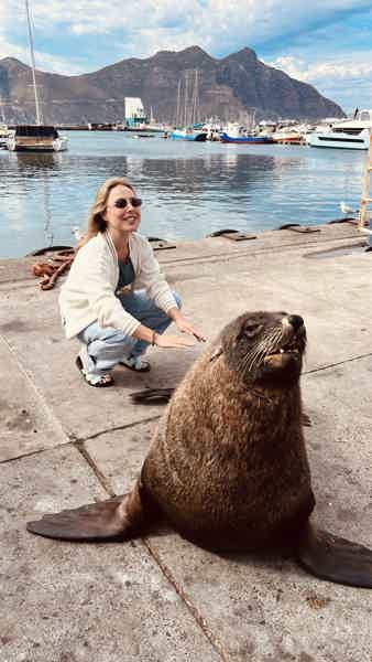 Пингвины, Тюлени и мыс Доброй Надежды: день у океана - фото 4