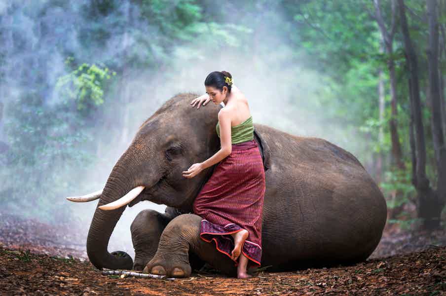 Приключение в джунглях Таиланда: фотосессия со слоном - фото 3