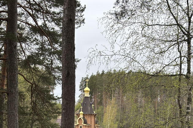 Виды Двухдневный сплав на SUP досках по реке Вуокса