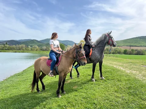 Верхом по Черноречью: конная прогулка