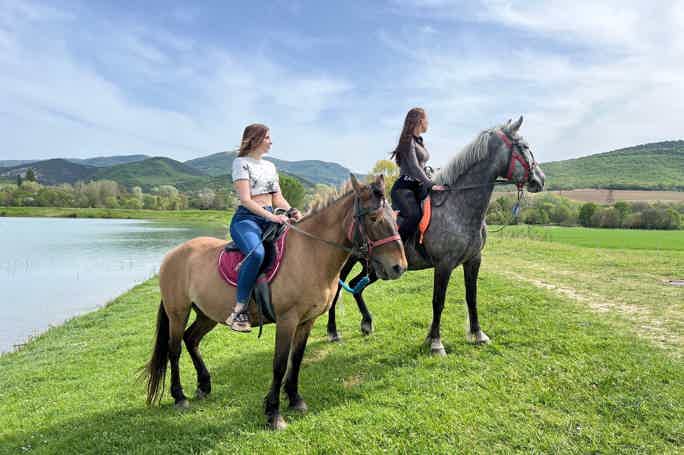 Верхом по Черноречью: конная прогулка
