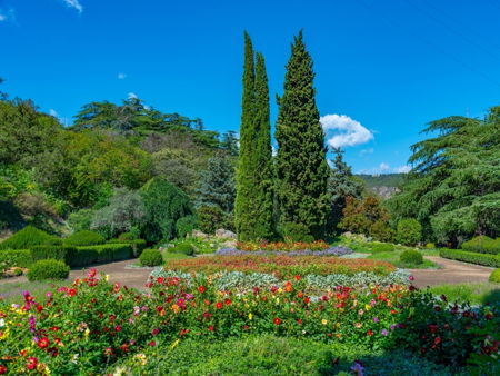 Ботанический сад