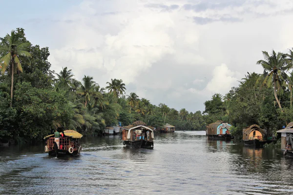 Golden Triangle with Exotic Kerala Tour — photo 5, Delhi | Pokataem