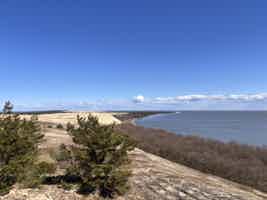 Экскурсия "Путешествие к белым дюнам и синему морю" - фото отзыва 4